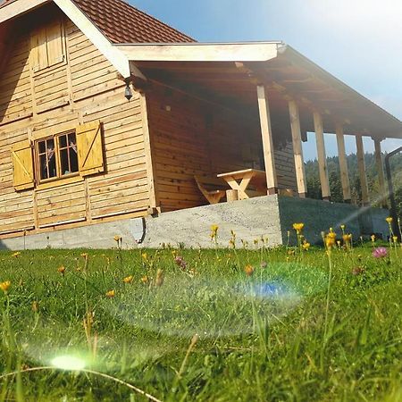 Brvnara Tara Villa Bajina Basta Exterior photo