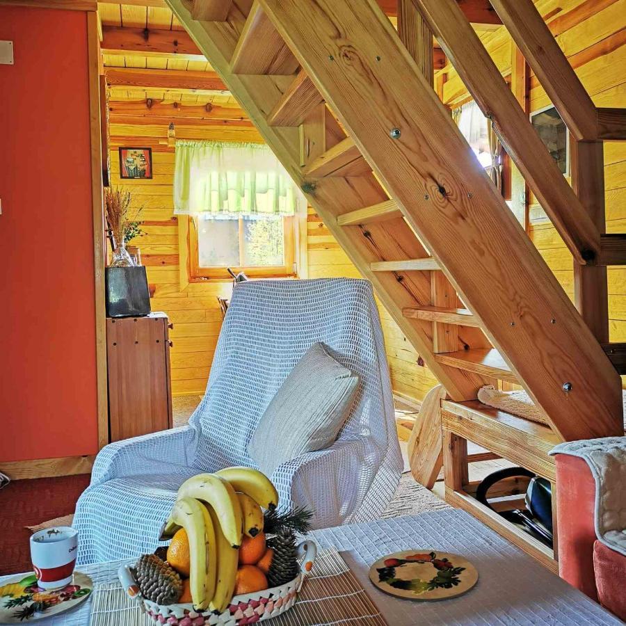 Brvnara Tara Villa Bajina Basta Exterior photo