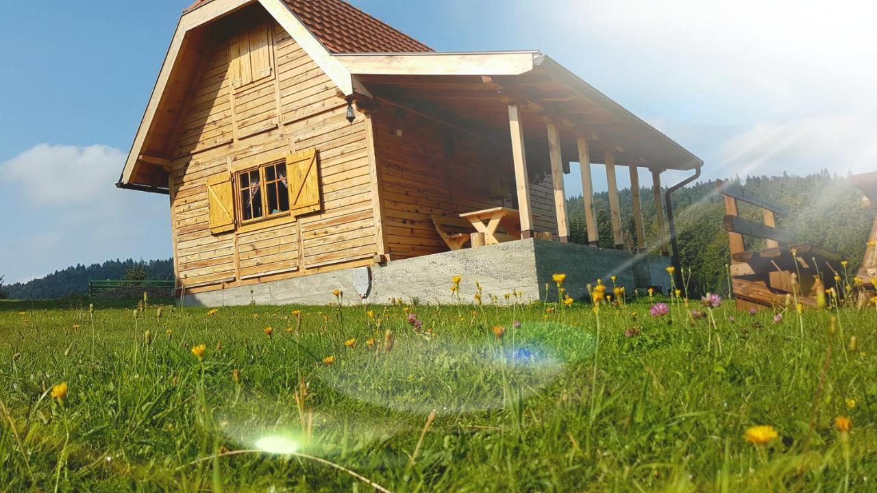 Brvnara Tara Villa Bajina Basta Exterior photo